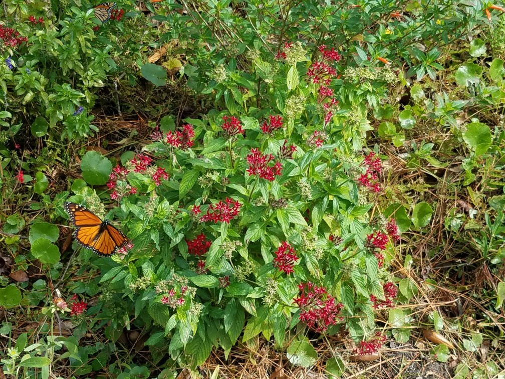Hugh S. Branyon Backcountry Trail-橙色海湾必去景点