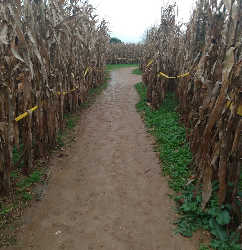 New Park旅游攻略图片