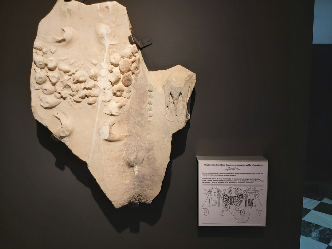 Museo Arqueologico  de Jerez-赫雷斯德拉弗隆特拉必去景点