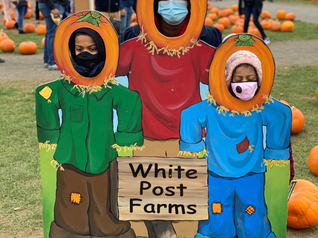 White Post Farms景点图片