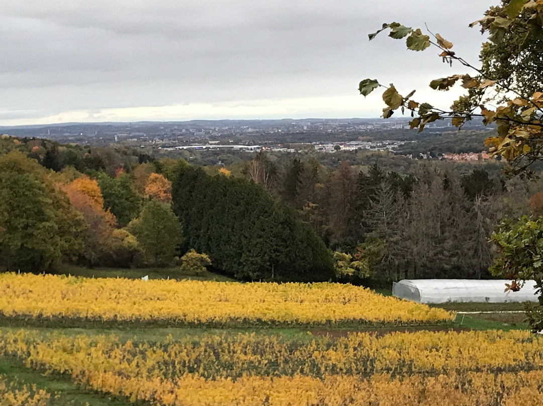 Cabanes en Lorraine