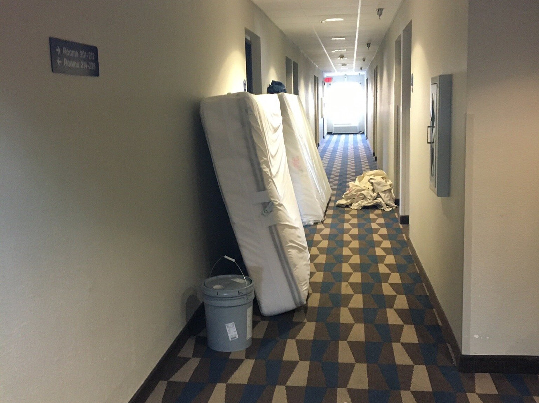 Microtel Inn & Suites by Wyndham Mankato主图