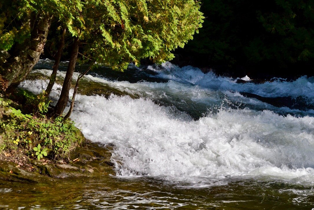 Minden Wild Water Preserve景点图片