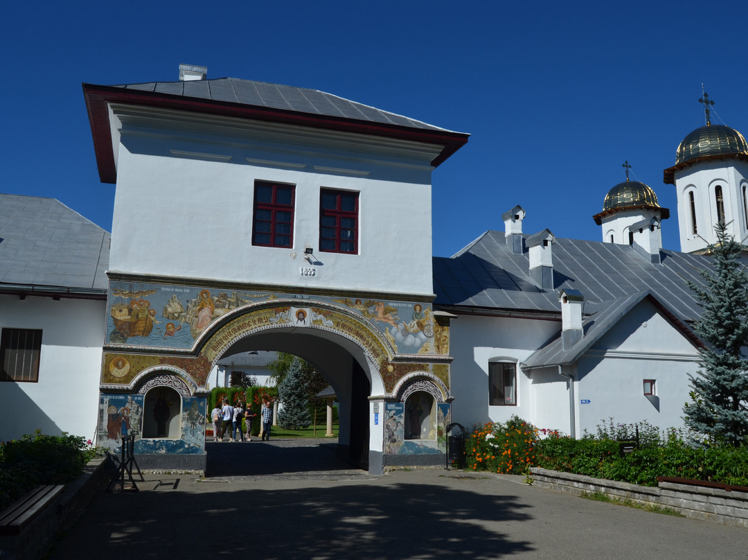 Dintr-un Lemn Monastery-勒姆尼库沃尔恰必去景点