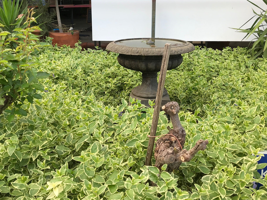 Milawa Cheese Company-Milawa必去景点