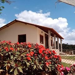 Haras Mafra & Mills-德尔雷伊必去景点