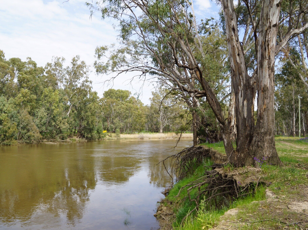 Murrumbidgee Valley National Park景点图片