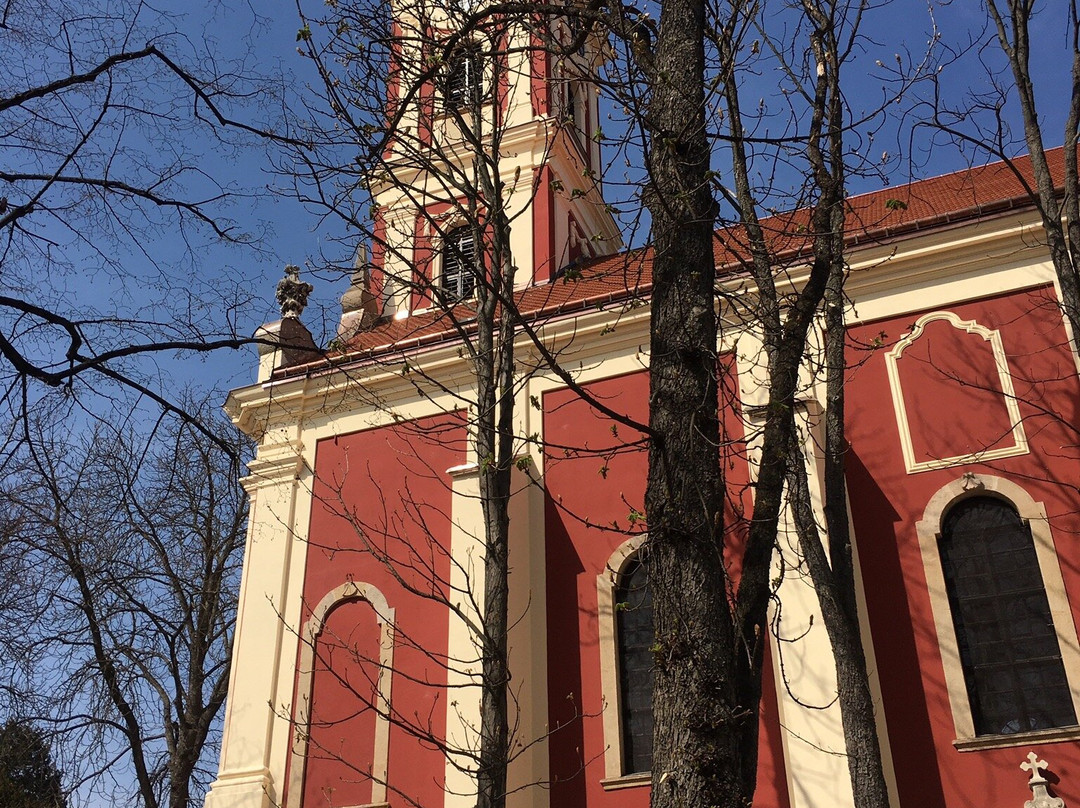 Belgrade Cathedral景点图片