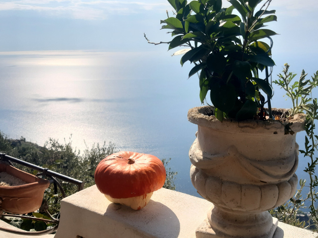 米拉马雷住宿加早餐酒店主图