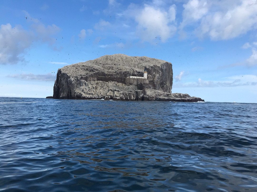 Bass Rock-北柏威克必去景点
