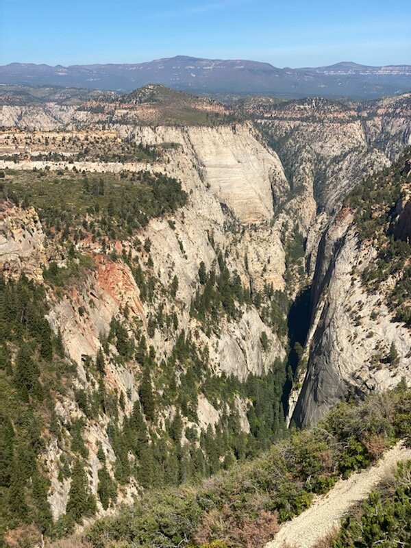 Observation Point-锡安国家公园必去景点