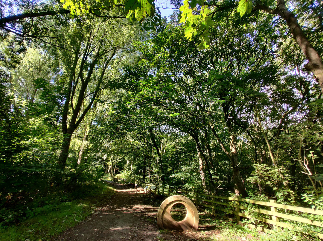 Flatts Lane Woodland Country Park-米德尔斯堡必去景点