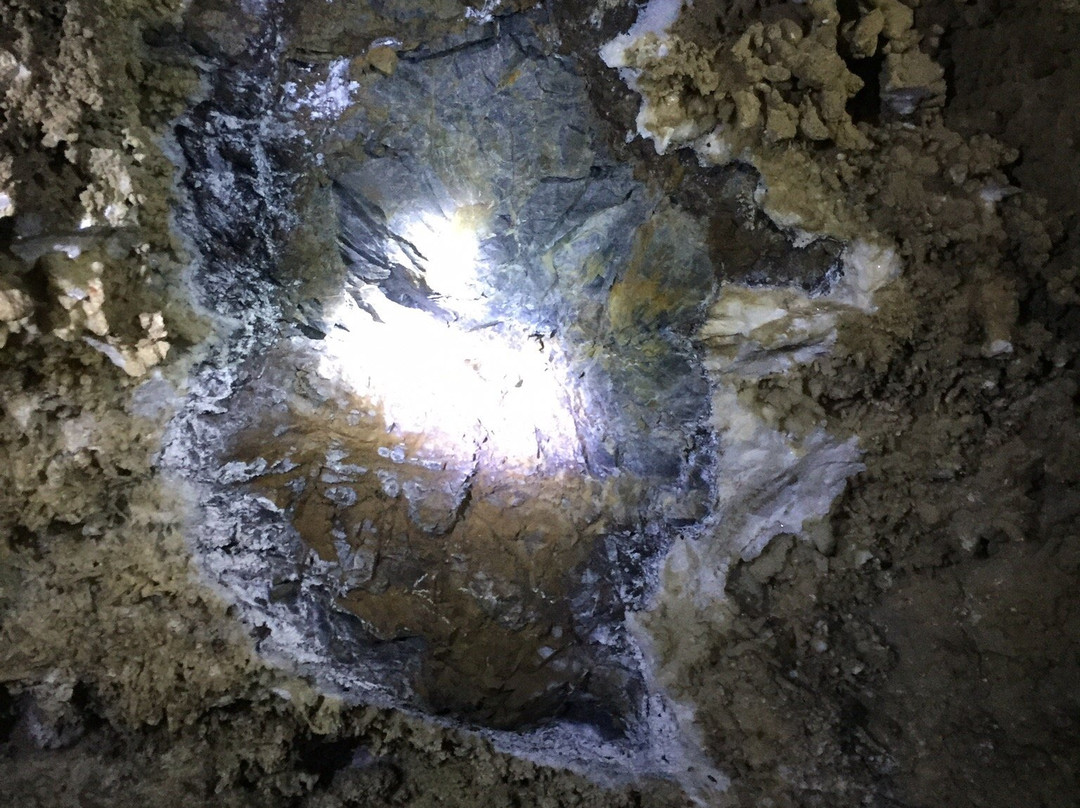 Wild Cave Adventures景点图片