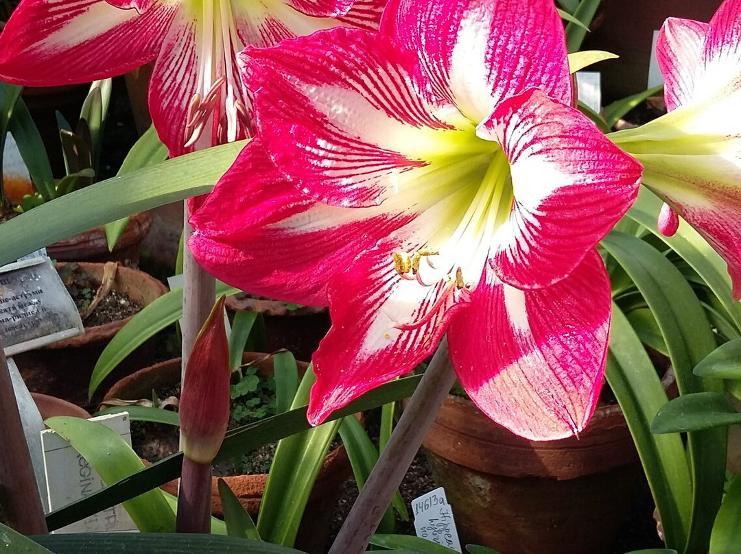 The Botanical Garden-索非亚必去景点