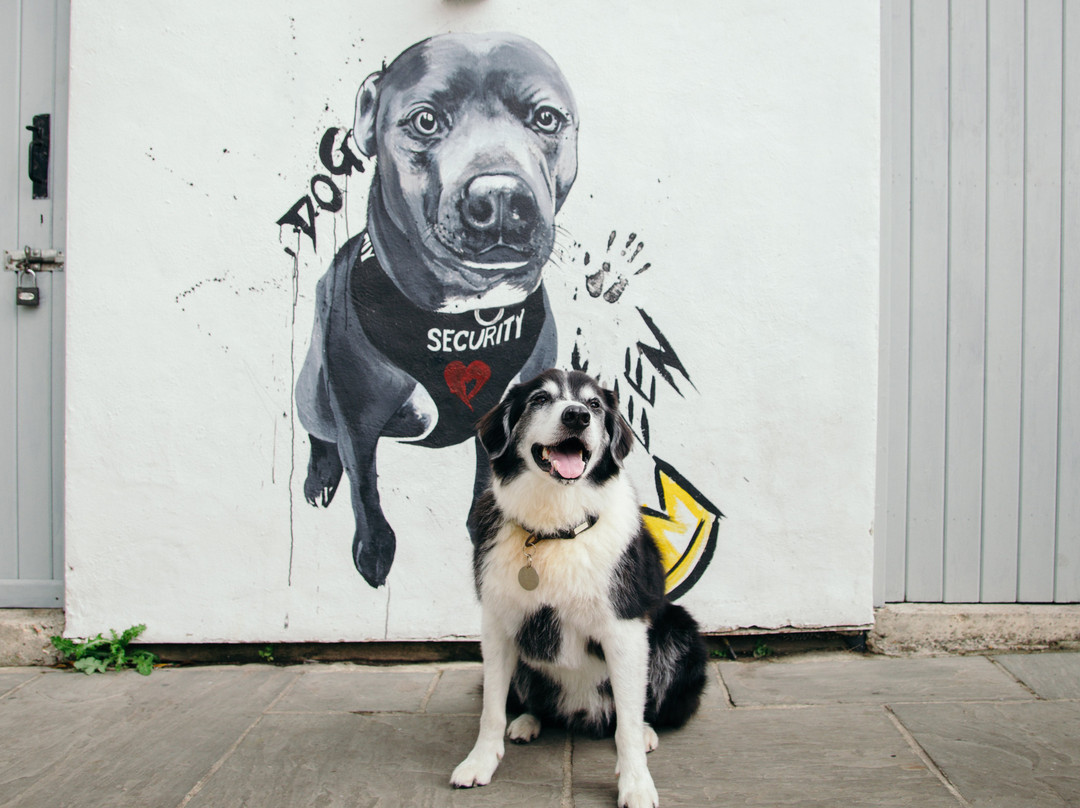 Bruv’s Bar-Honiton必去景点