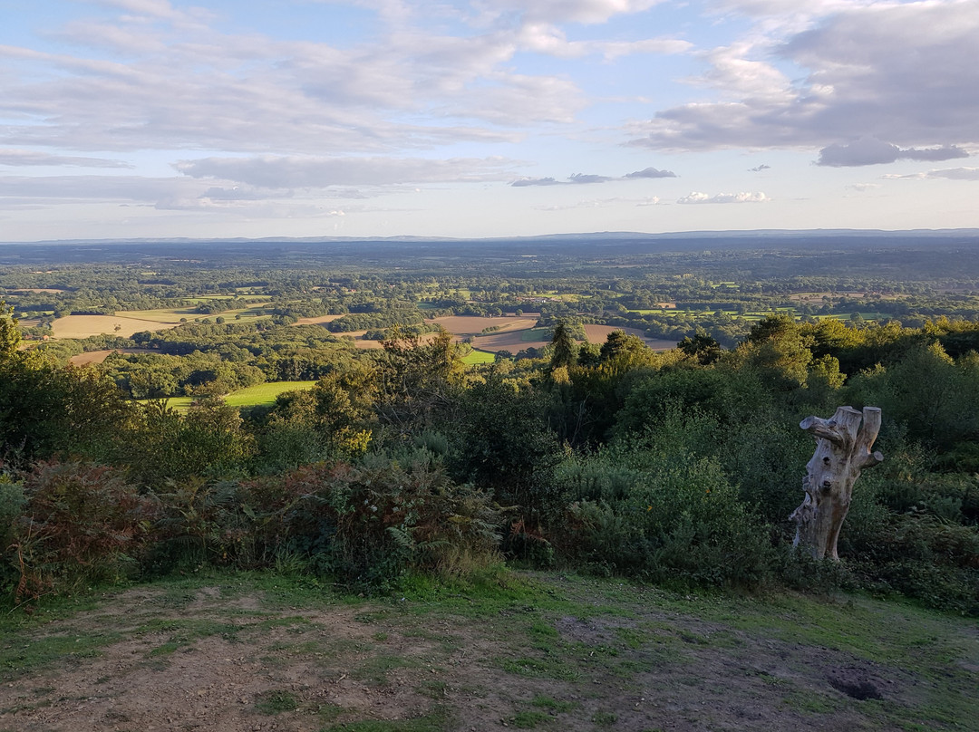 Leith Hill景点图片