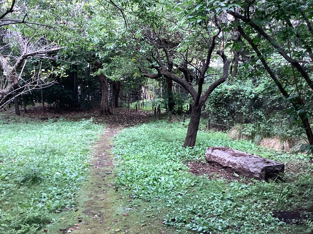 HAKE Forest Green Zone 2