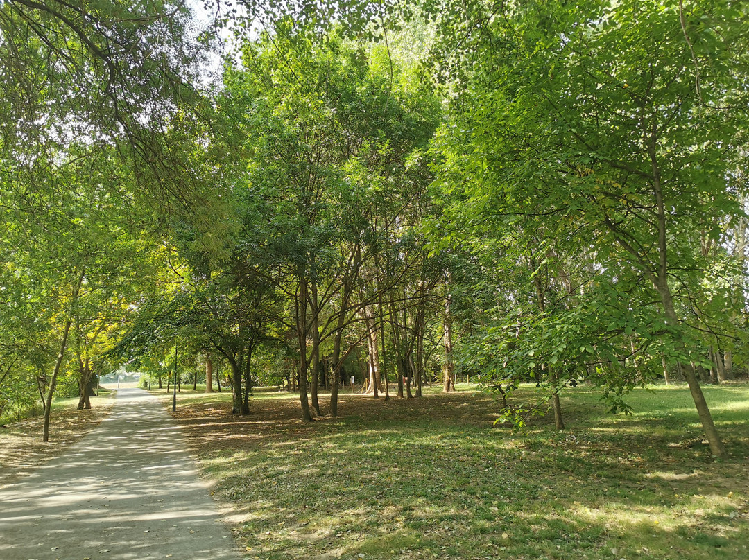 Parque Fluvial del Arga-潘普洛纳必去景点