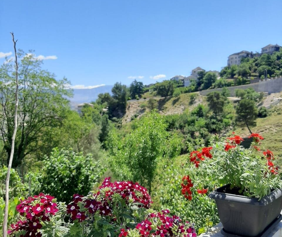 Grandpa's Home主图