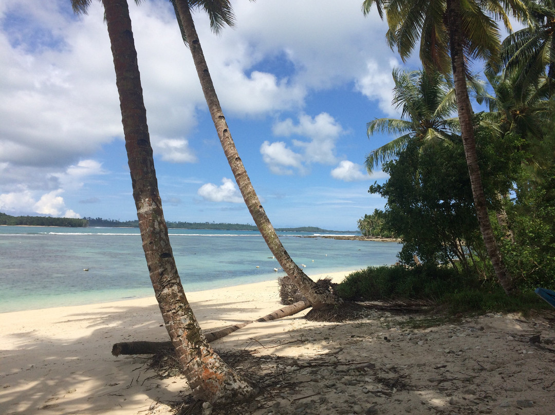 Discover Mentawais-Siberut必去景点