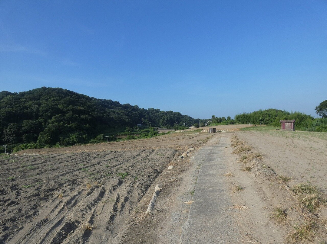 Maejima Island-濑户内市必去景点