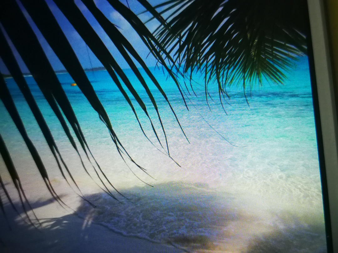 Direction Island-科科斯（基林）群岛必去景点