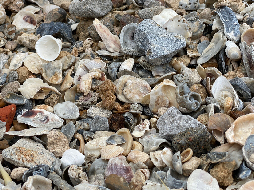 Surfside Jetty Park-Surfside Beach必去景点