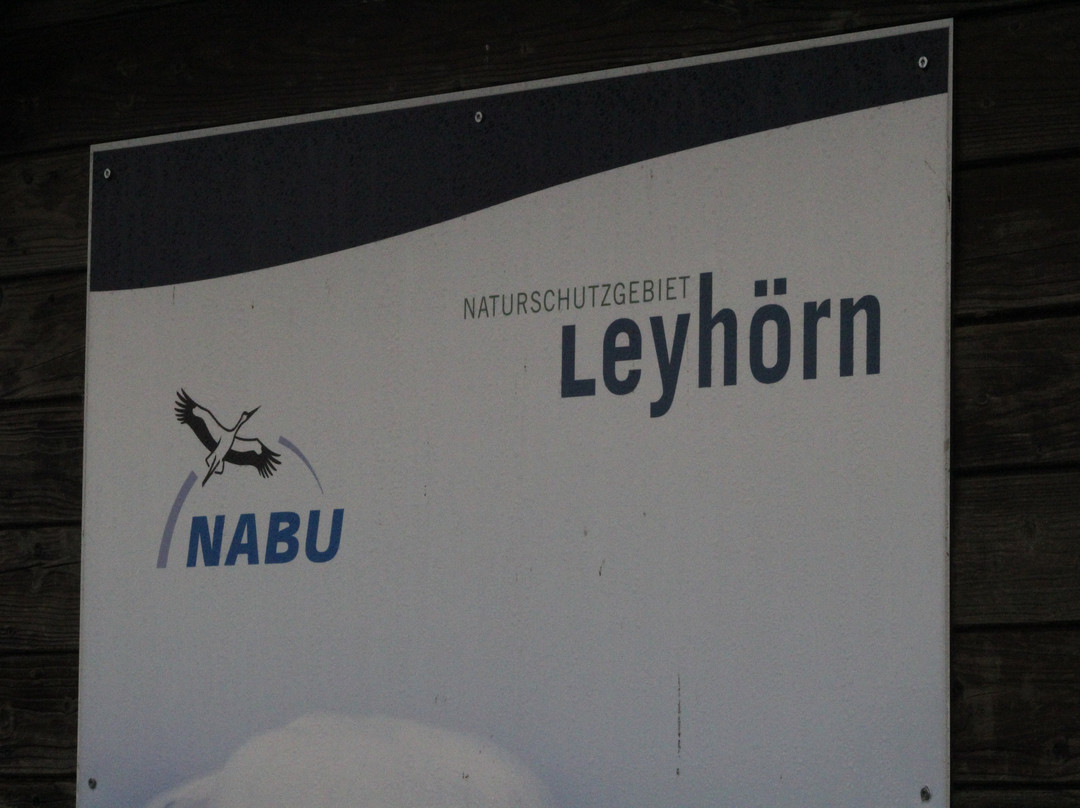 Vogelbeobachtungshütte am Leyhörn-Pilsum必去景点