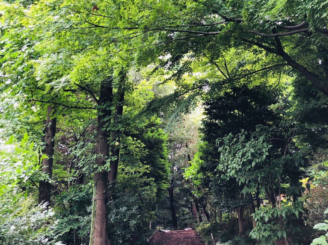 Akatsuka Botanical Gardens-板桥区必去景点