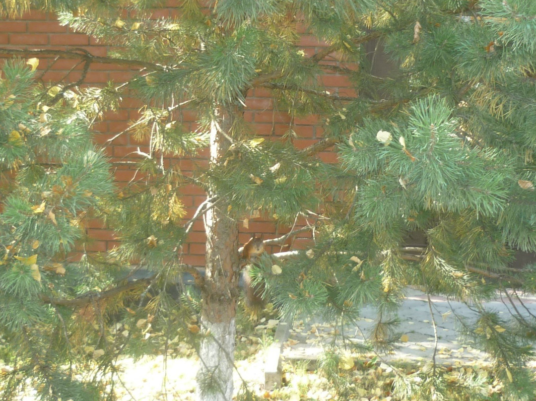 Protasy旅游攻略图片