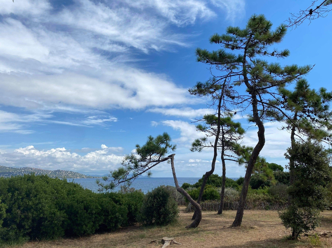 Pointe des Sardinaux景点图片