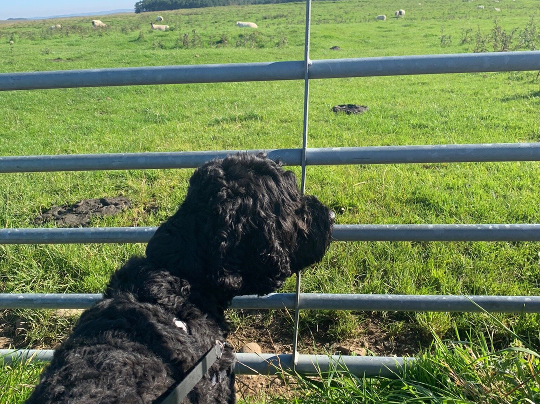 Grindon Farm - Cartshed & Old Farmhouse主图