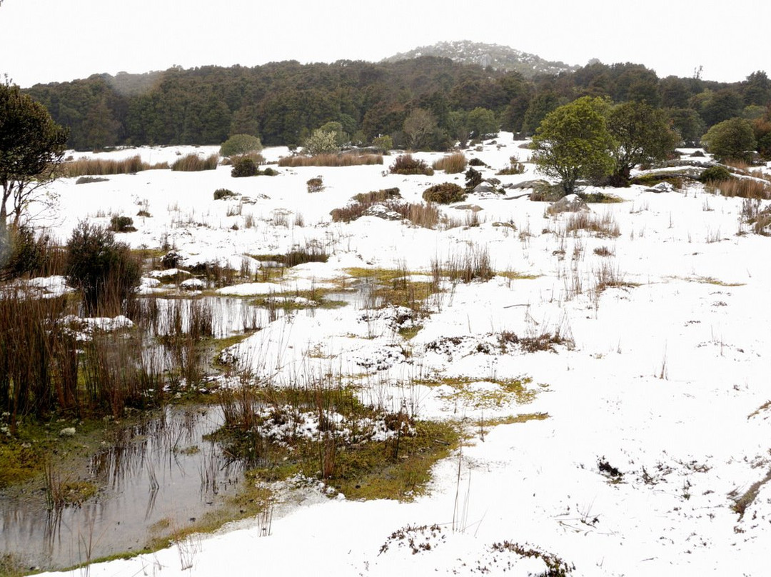 Blue Tier Forest Reserve景点图片