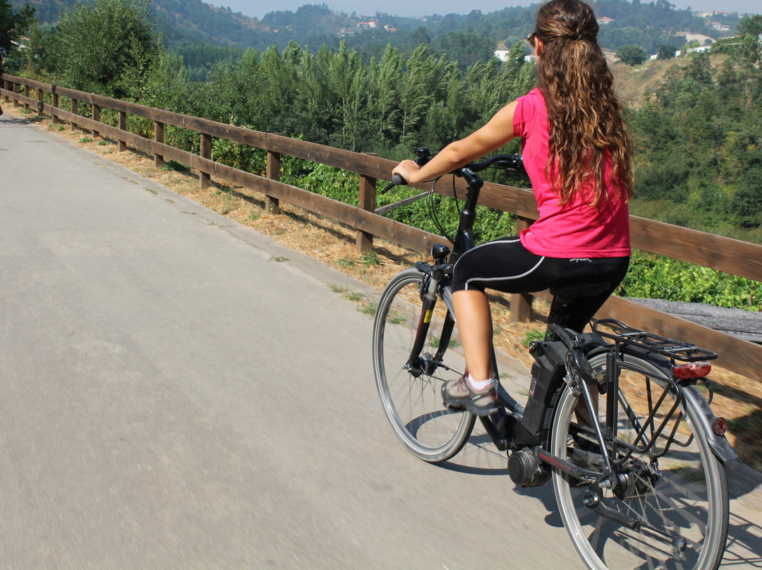 e-Velo - e-Bike Rentals景点图片