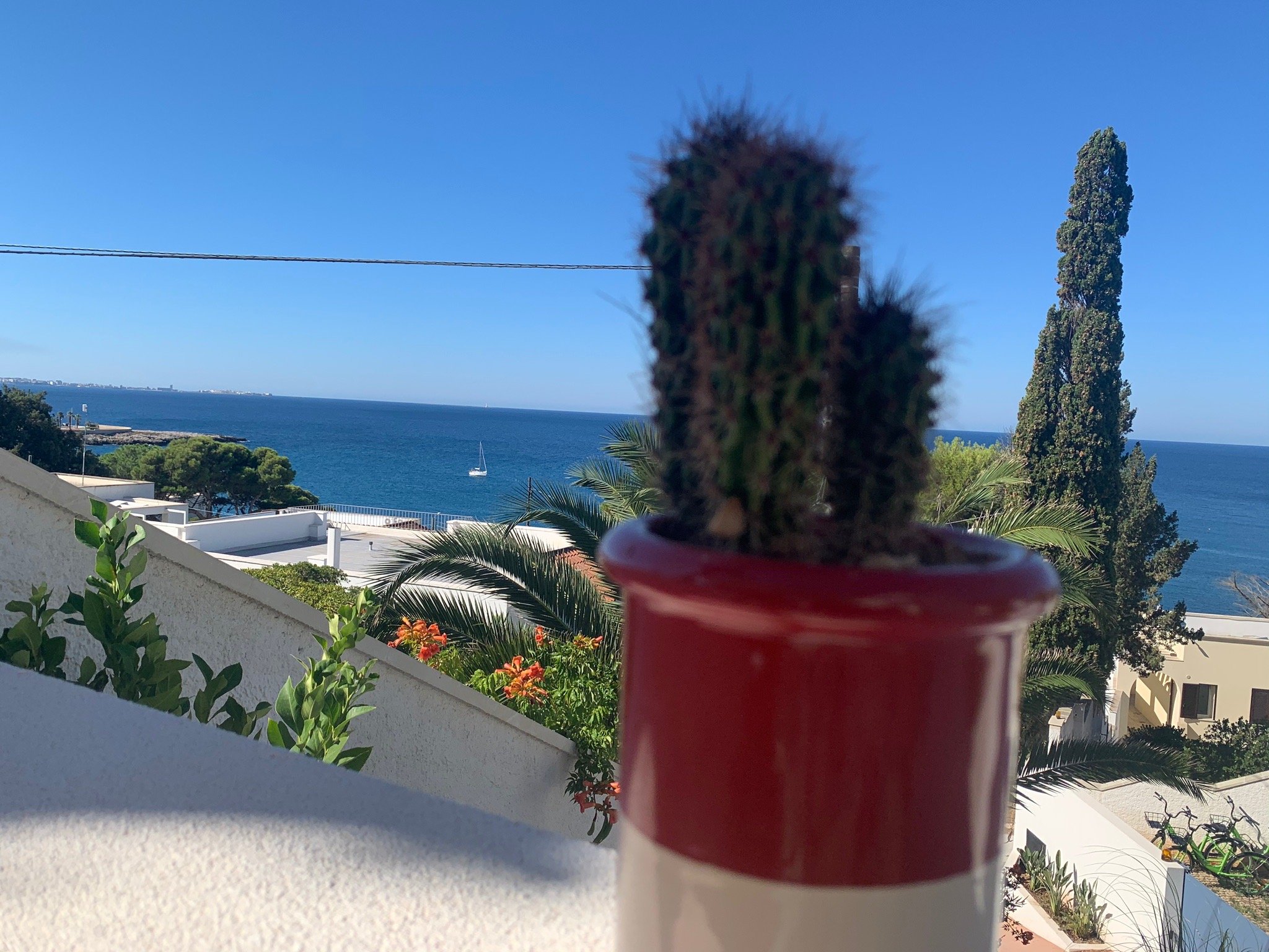 Senia Rooms Vista-官方