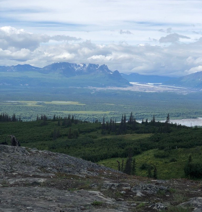 Alaska Nature Guides景点图片