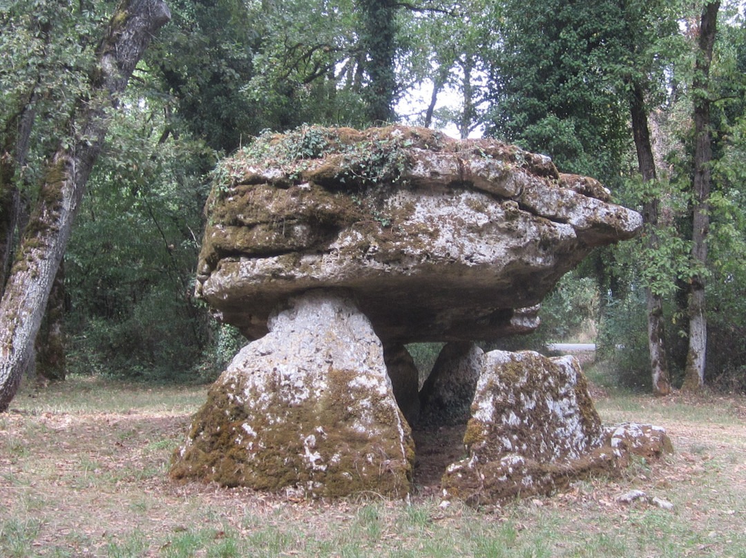 Dolmen De La Pierre Pèse景点图片