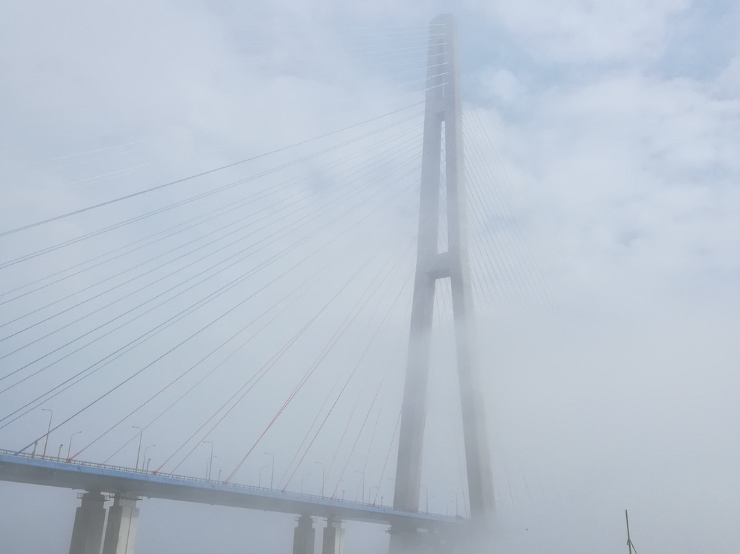 Novosiltsevskaya Battery景点图片