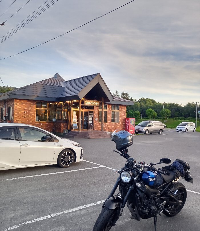 Toyotomi Onsen Fureai Center-丰富町必去景点