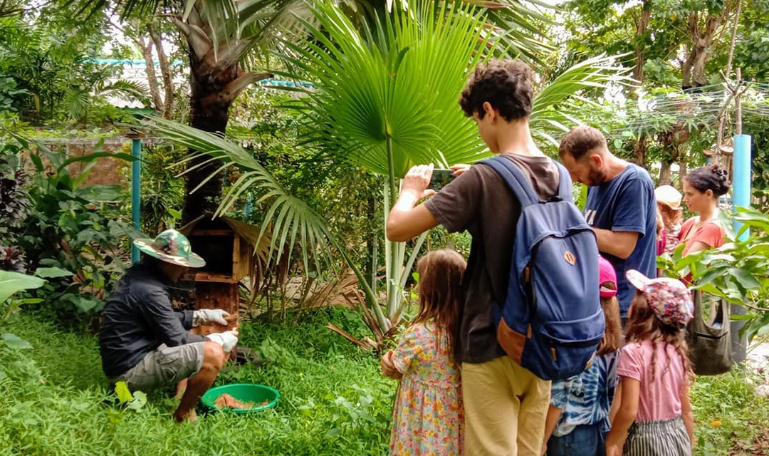 帕丽达花园度假村主图