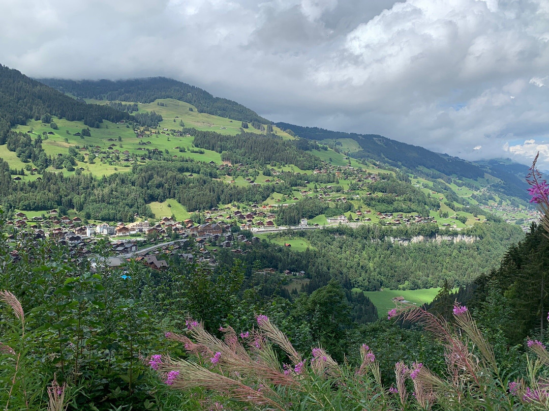 Galerie Défago-Champery必去景点