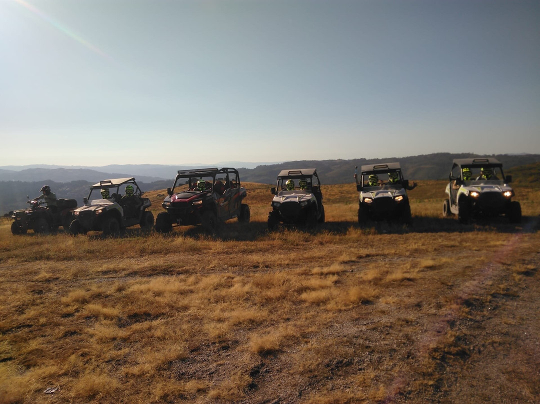 Foxtrot Aventura-Revelhe必去景点