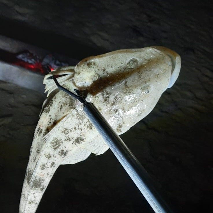 Simaisma Beach-多哈必去景点