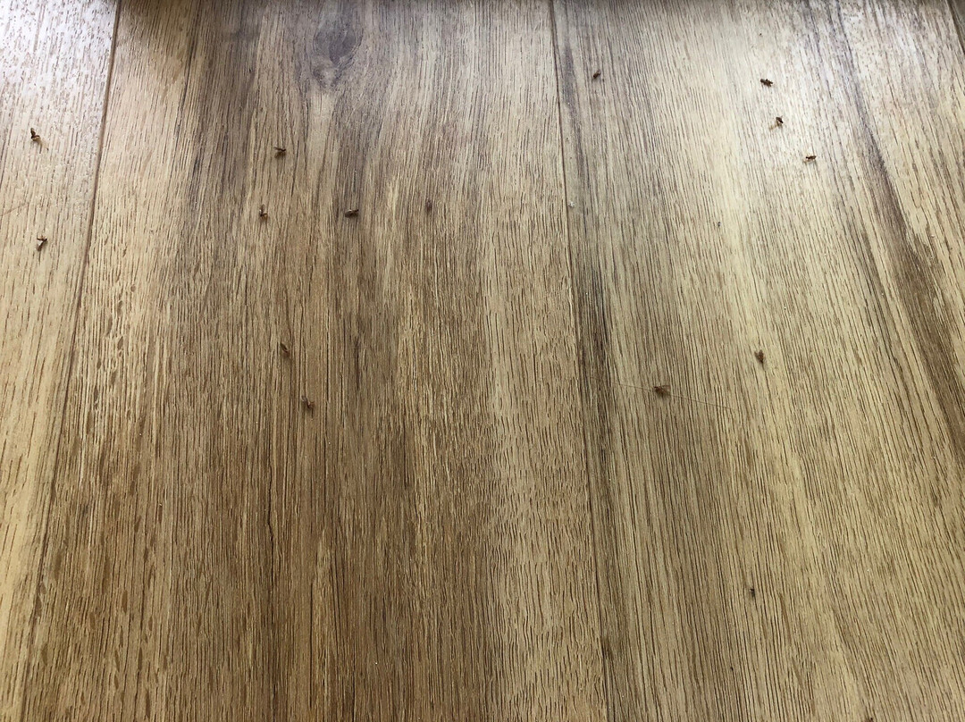 阁考岛考科考克德度假村主图