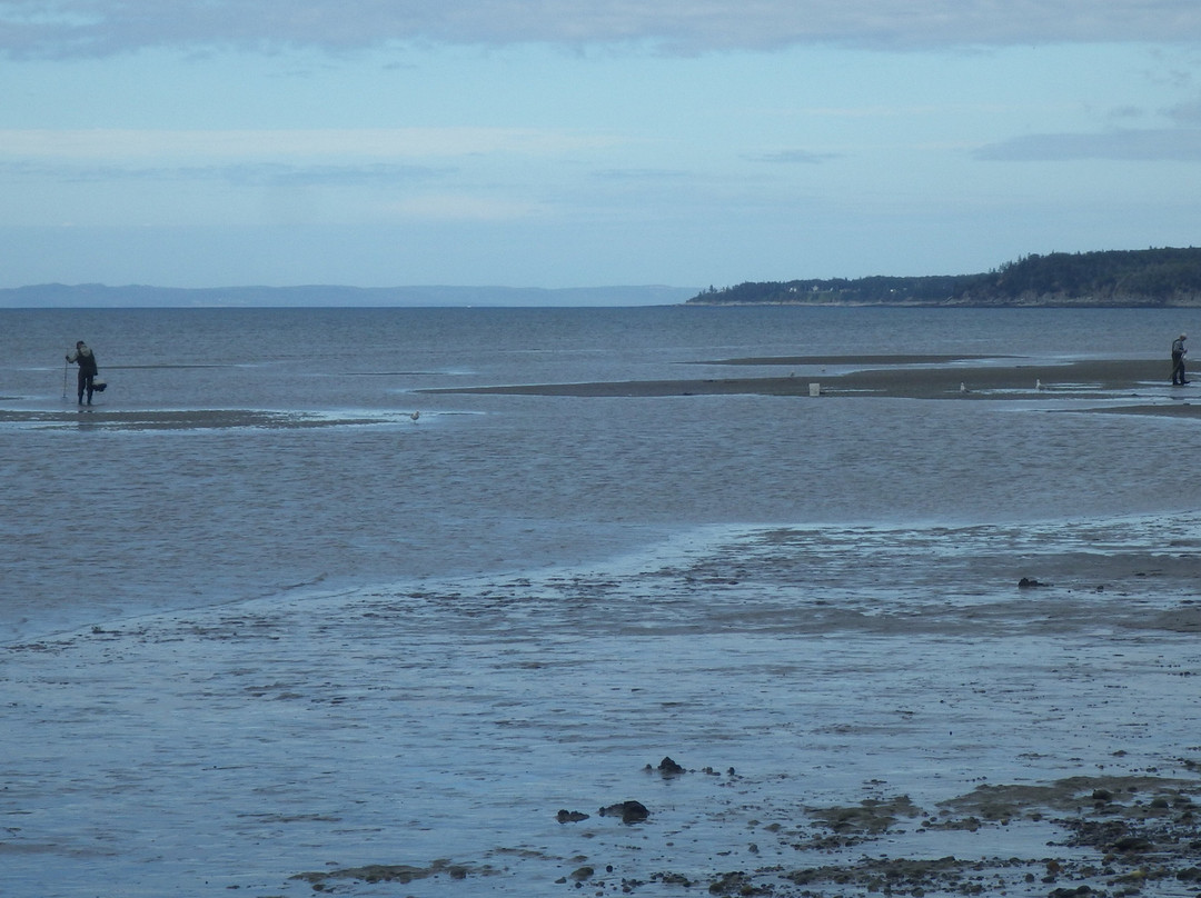 Belliveau Cove Municipal Park景点图片