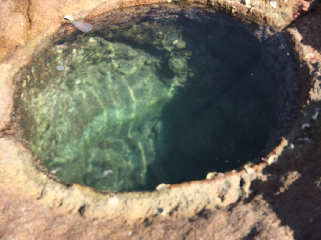 Ramsgate酒店住宿-BillsBest Boathouse B&B