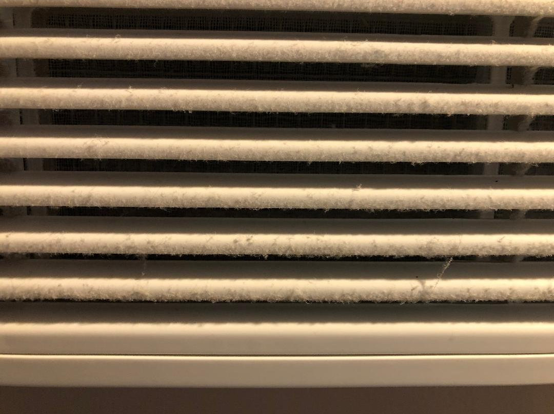 Blue Water Inn主图