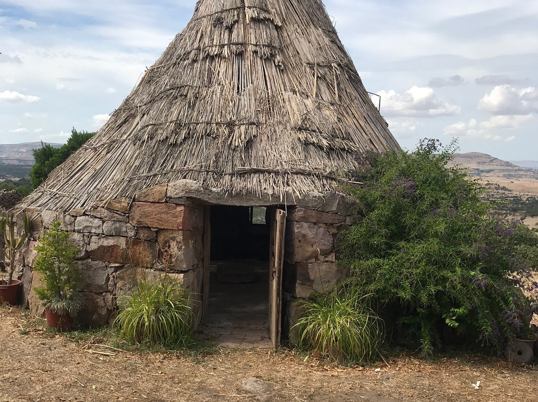 Agriturismo Sa E Padedda主图