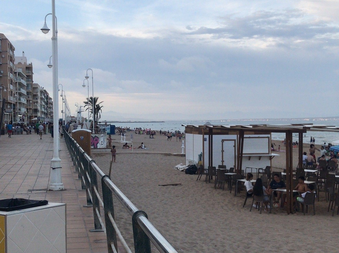Paseo Maritimo de Guardamar景点图片