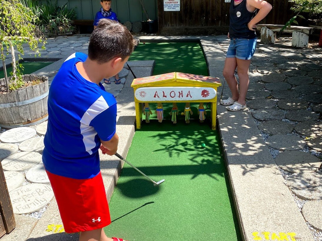 Twain Harte Miniature Golf景点图片